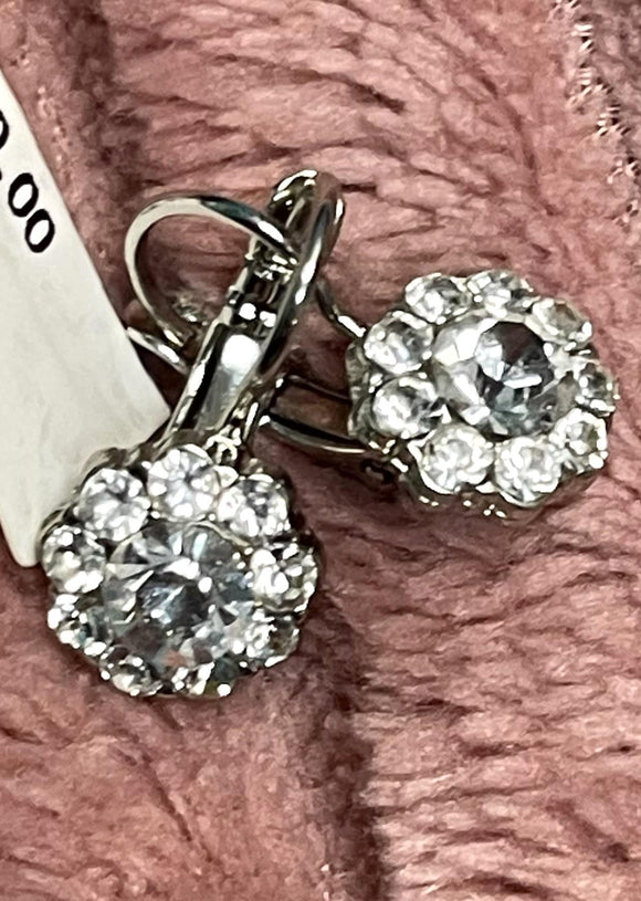 Crystal Ice Earrings