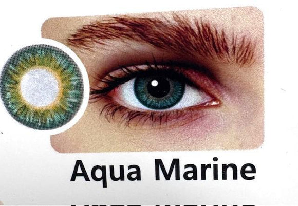 Aqua Marine Hollywood Contacts