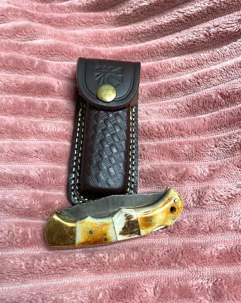 Burnt Bone and Stag Horn Folding Knife