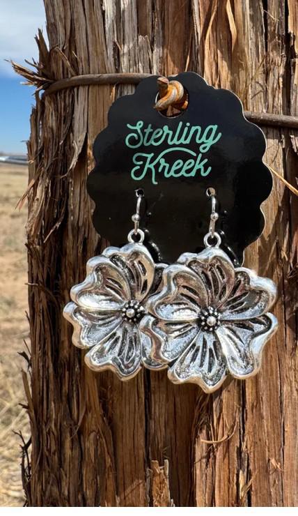 Silver Dangle Earrings